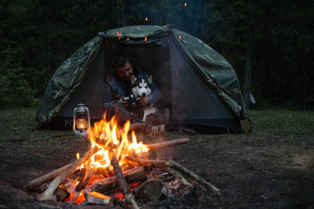 Camping Gear for Dogs