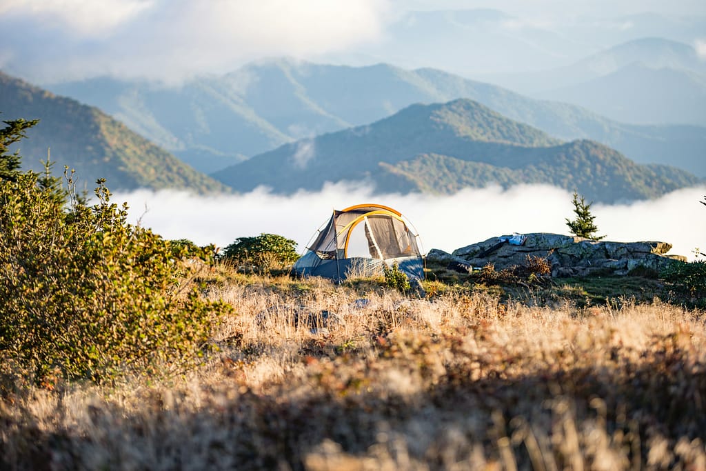 pinnacles campground