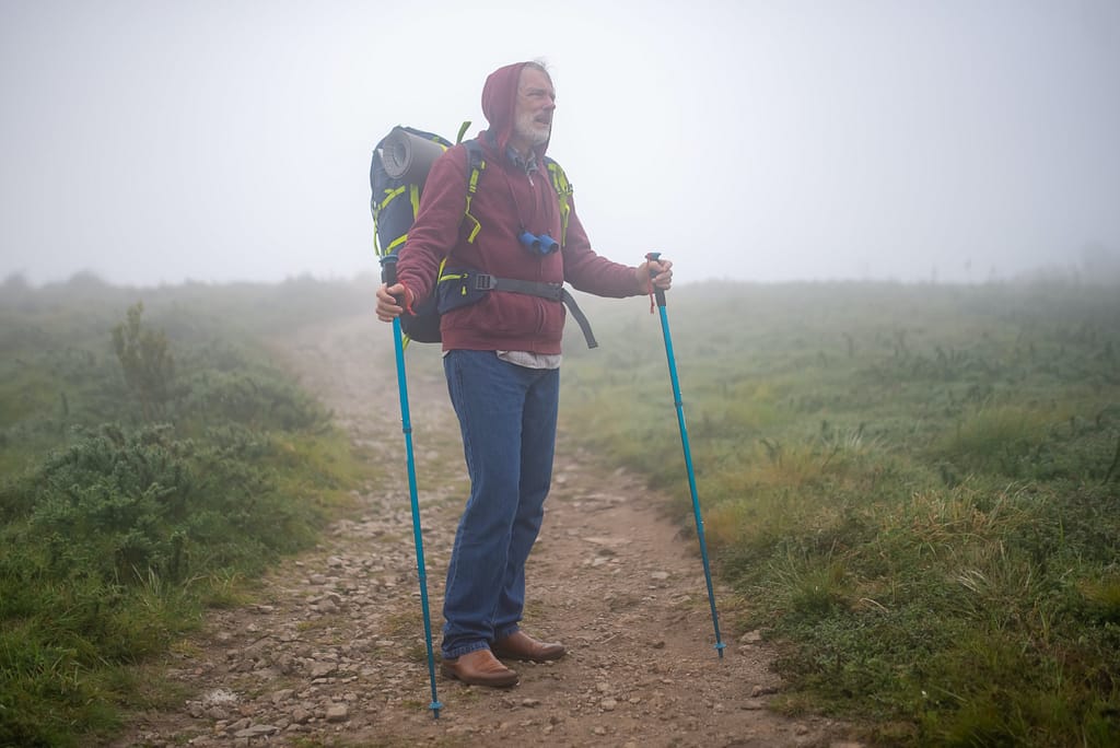 walking poles for seniors