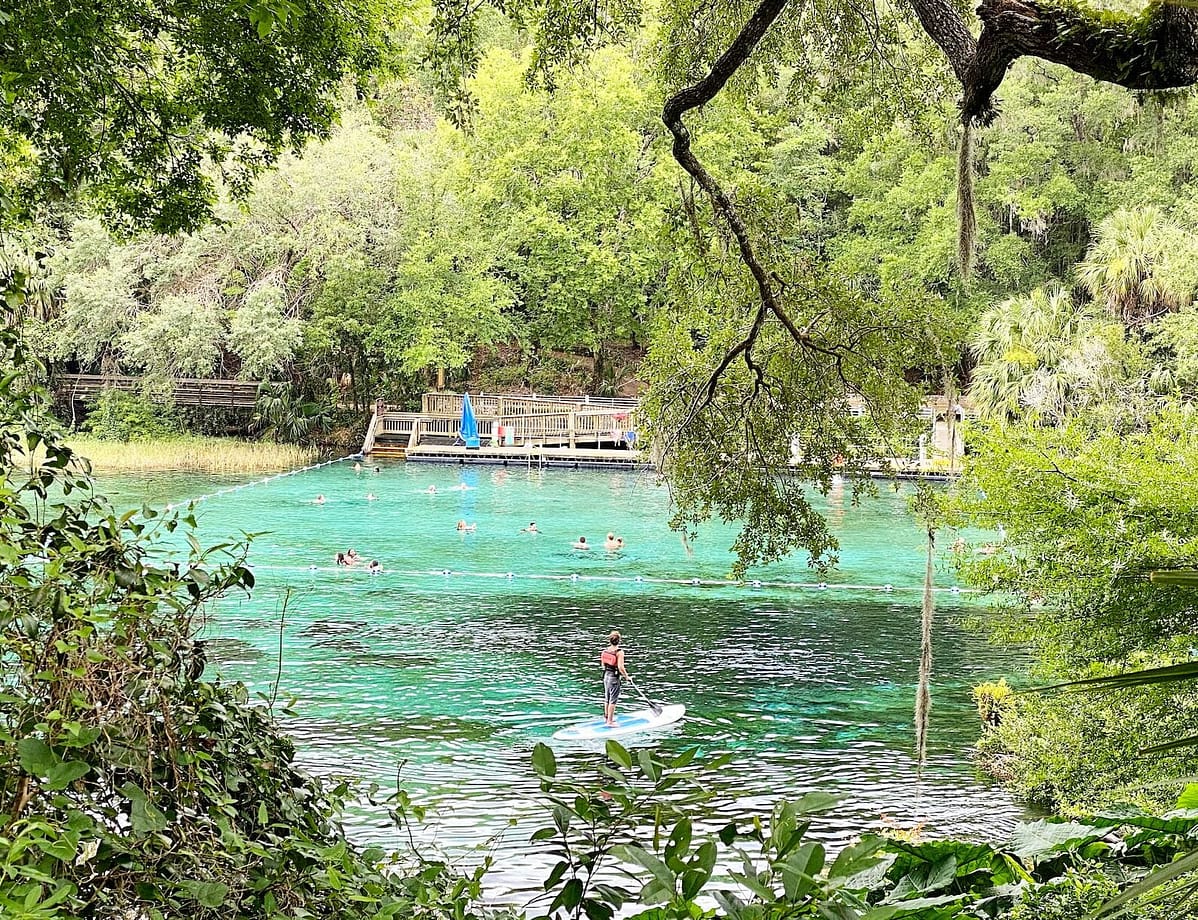 Clear Weter Florida, Rainbow Springs.