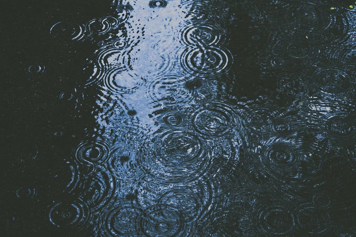 Rain drops