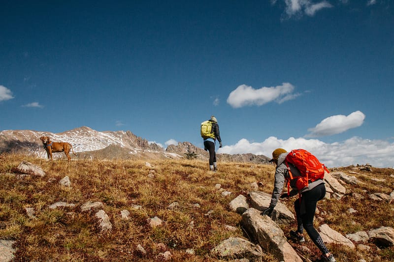 Hiking and Running Shoes