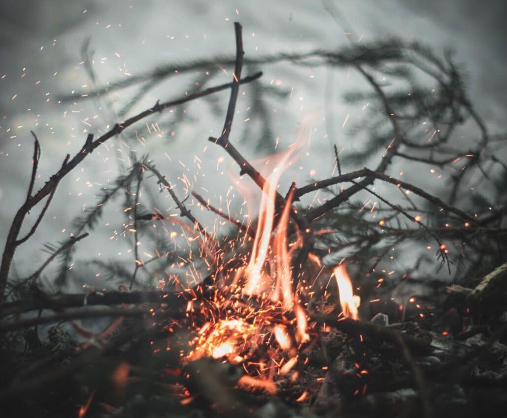 Fire Kindling Your Essential Guide for Camping CampingProfessor